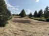 Widok ogólny