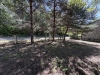 thumb_504_10.jpg